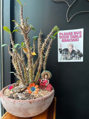  at Mis Tacones in Portland