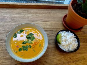 Indian curry with tofu and rice.   at Dosa Dosa in Prague