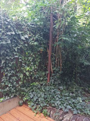  at Dosa Dosa in Prague