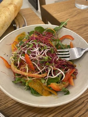   at Dosa Dosa in Prague