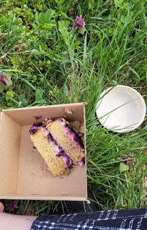  at Dosa Dosa in Prague