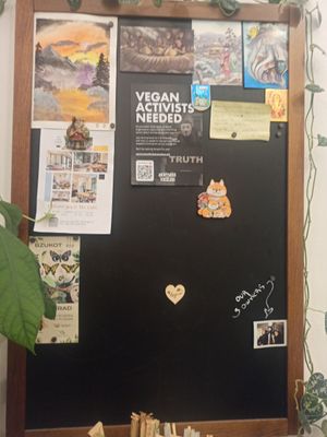  at Dosa Dosa in Prague