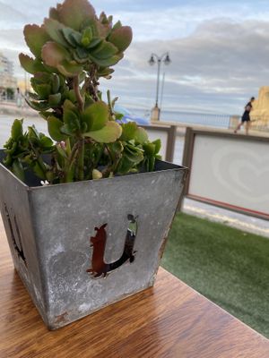 Next to the harbor  at U Bistrot in St Julians