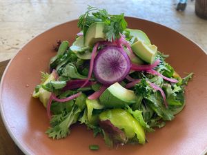 Fresh salad at Punta Bonita in Playa Del Carmen
