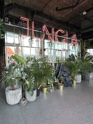 The entrance at JUNGLA in Gdansk