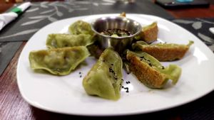 Crispy Thai potstickers at Vegan Tierra in Cooper City