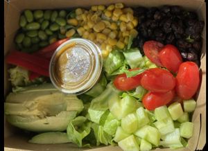   at Vegan Tierra in Cooper City