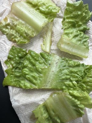 Dirt on my lettuce   at Vegan Tierra in Cooper City