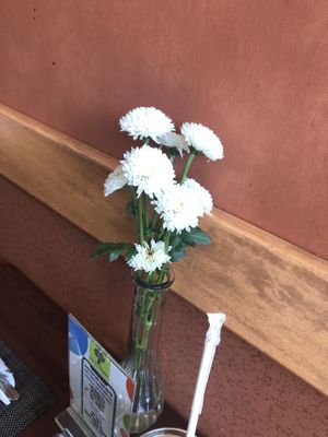 Interior   at Vegan Tierra in Cooper City