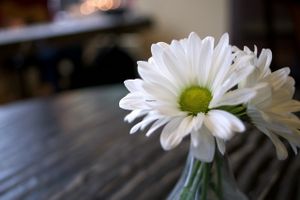 Relaxed atmosphere. Photo taken by cbquispe.com at Good Life Cafe in Columbia