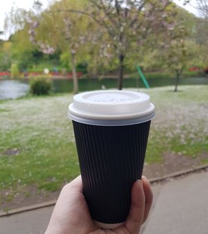 Great Americano at Bella Rose Cafe in Scarborough