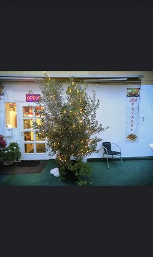 Winter at Falafel in Hilden