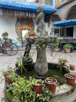   at Parada Vegana in Cusco