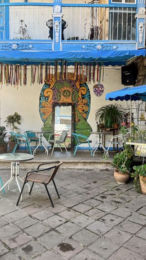   at Parada Vegana in Cusco