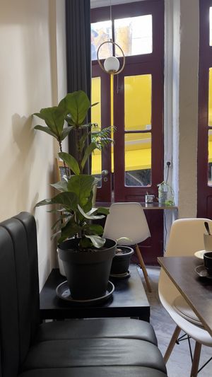   at Comércio Café Coworking in Porto