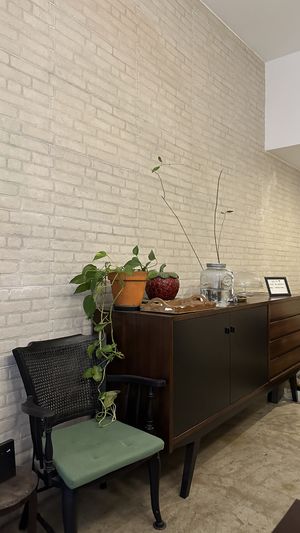  #Veganuary at Comércio Café Coworking in Porto