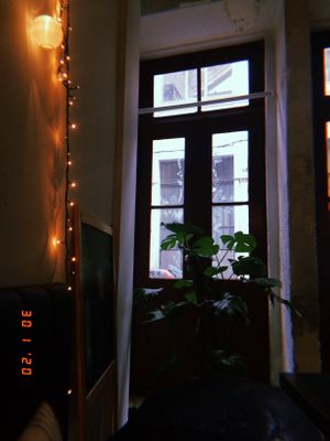 inside cosy, outside rain at Comércio Café Coworking in Porto