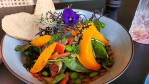   at Grøn'46 in Aarhus