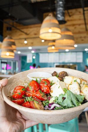 Bowl with Sesame Noodles, Kale Crunch Salad, Roasted Mushrooms, Sesame Garlic Tofu, and Mediterranean Tomatoes			
 at Mahana Fresh in Boca Raton