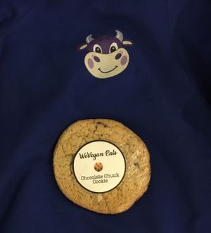 Cookie--sitting atop my HC hoodie! ;-) at Vegan On The Fly in New York City