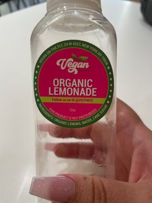 AMAZING! at Vegan On The Fly in New York City