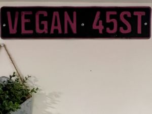 Vegan 45st  at Vegan On The Fly in New York City