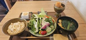 Lunch set with croquets and Goma dofu at Unkimika in Tokyo