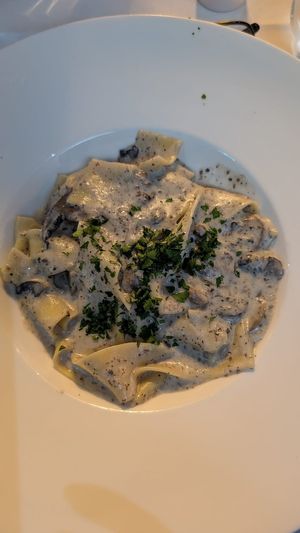 Papperdelle funghi $36: freshly cooked, DELICIOUS mushroom truffle sauce at Funghi E Tartufo in Melbourne