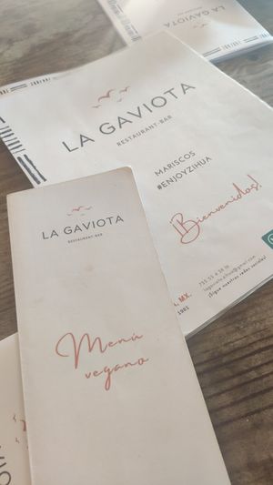 Vegan Menu at LA GAVIOTA in Zihuatanejo