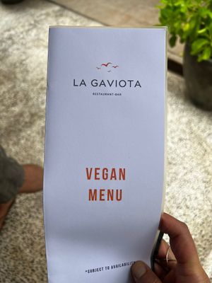  at LA GAVIOTA in Zihuatanejo