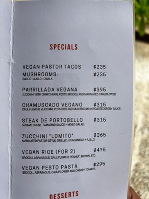  at LA GAVIOTA in Zihuatanejo