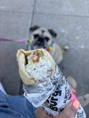 Chicken wrap   at Odd Burger in Hamilton