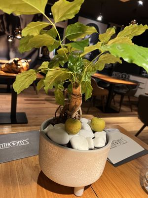   at Anthony's in Meerbusch