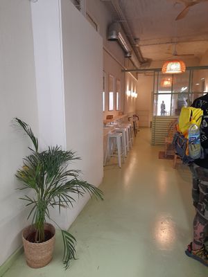 Inside at Areca Bakery in Barcelona