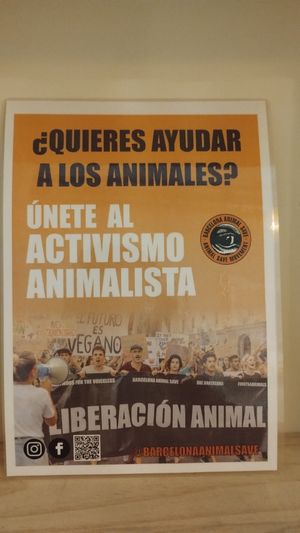  at Areca Bakery in Barcelona