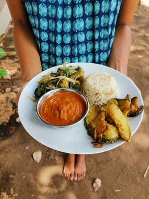 Mexican mole, served with rice and stir-fried veggies at Still Salty Escape in El Viejo