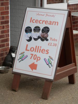 Advert for vegan ice cream and lollies at Hillside Shire Horse Sanctuary Cafe in West Runton