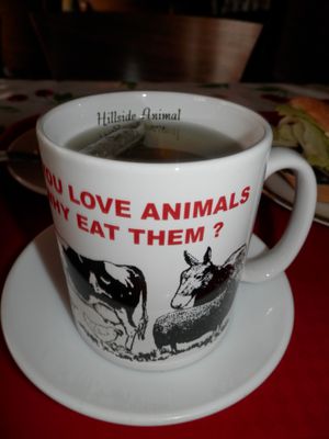 Peppermint tea at Hillside Shire Horse Sanctuary Cafe in West Runton