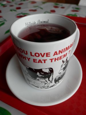 Strawberry and raspberry tea at Hillside Shire Horse Sanctuary Cafe in West Runton