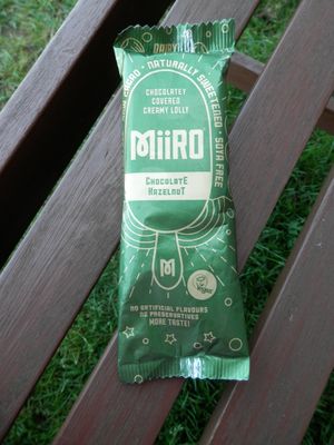 Chocolate Hazelnut vegan ice cream at Hillside Shire Horse Sanctuary Cafe in West Runton