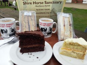 sandwiches and cakes at Hillside Shire Horse Sanctuary Cafe in West Runton