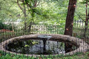 Fish Pond on property at Elk River Hotel & Cafe by GlampOut Resorts in Sutton