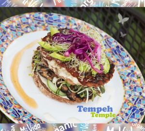 Tempeh Temple ~ Special dish of the Day at Mi Vida Cafe in Miami