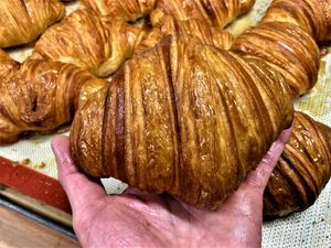 Sourdough Croissant at Wild Hearth Bakery in Comrie