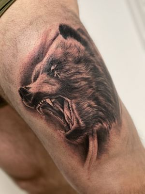 Orso   at Ludipeatattoo in San Pietro In Casale