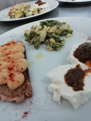 Appetizer: Hummus on homemade bread, asparagus salad, goat fresh cheese with vegan "Bagnet vert" at Osteria di Filia in Castellamonte