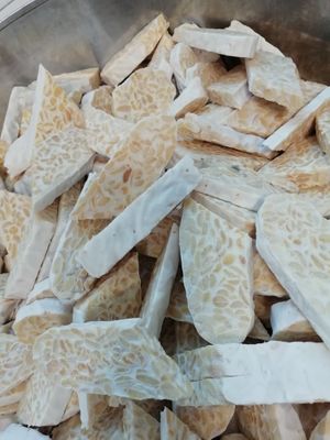 Our homemade tempeh!!!!!  at Osteria di Filia in Castellamonte