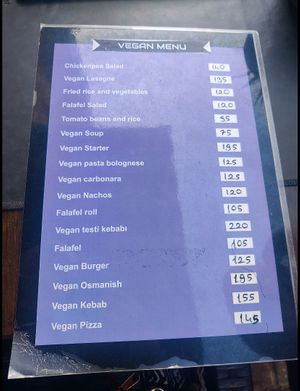 Vegan menu at Cozy Alanya in Alanya