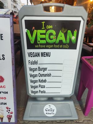  at Cozy Alanya in Alanya