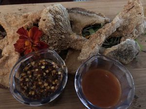 Vegan wings   at Eden in Hot Springs